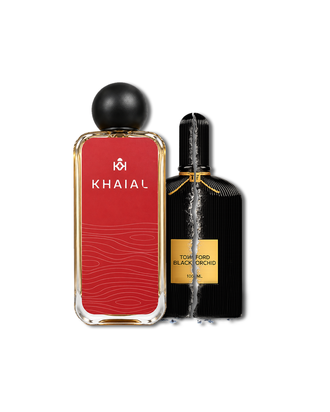 Black Orchid Tom Ford